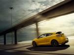 Renault Megane RS 250 2010 года